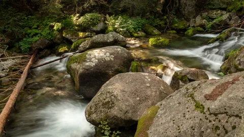 Nature Background around River Hyperlapse in Pirin Mountains in Bulgaria 1 Stock Footage 220295470