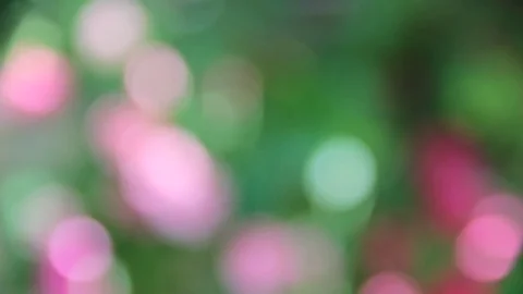 Nature background. Beautiful Sun shine t Stock Footage 76848079