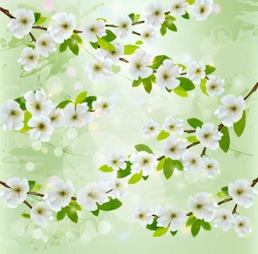 Nature background with blossoming tree branches. vector illustration. Stock Illustration