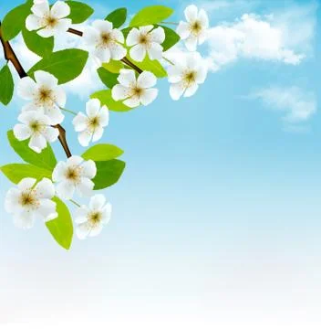 Nature background with blossoming tree brunch and blue sky. vector illustrati Stock Illustration