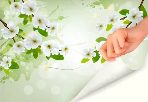 Nature background with blossoming tree brunch and flowers and hand. vector il Stock Illustration