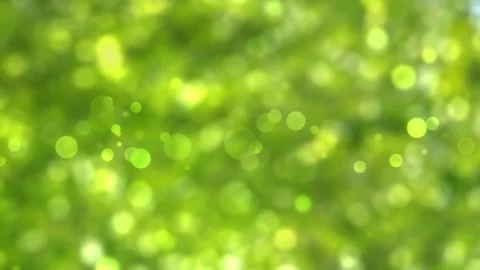 Nature background with bokeh light animation Stock Footage 260816905