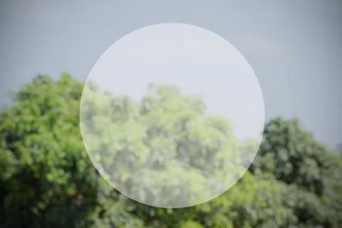 Nature background with circle of blank text box Foto stock