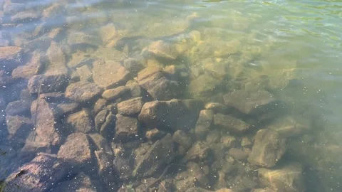 Nature Background Close Up Of Green Shallow Water Surface Over Stones Stock Footage 137427892