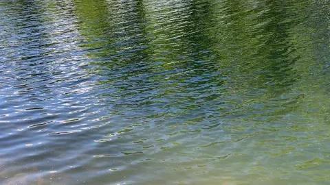 Nature Background Close Up Of Green Shallow Water Surface, 4K Stock Footage 137535641