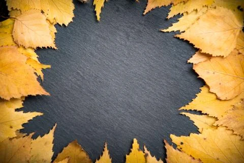 Nature background with copy space on empty black board template Stock Photos