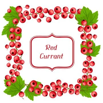 Nature background design with red currants. Stock Illustration