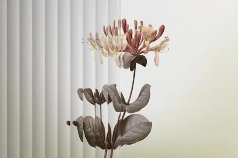 Nature background with flower behind patterned glass Stock Illustration