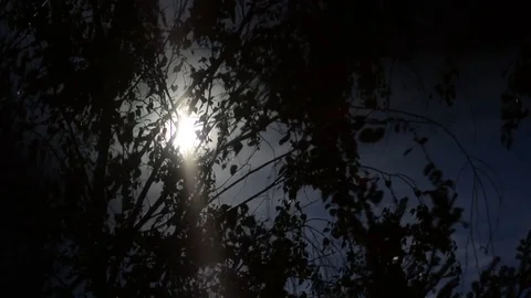 Nature background. Stock Footage 74570836