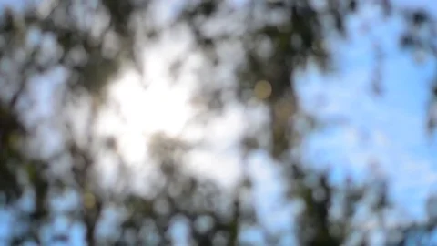 Nature background. Stock Footage 74570979