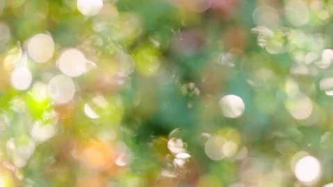 Nature Background Vídeo Stock 124814603