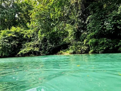 Nature background in forest with river Foto stock