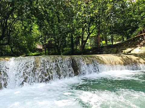 Nature background in forest with river Foto stock