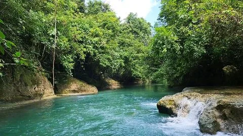 Nature background in forest with river Foto stock