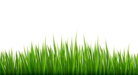 Nature background with green grass. vector. Illustrazione stock