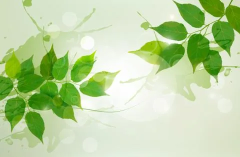 Nature background with green spring leaves. vector illustration. Stock Illustration