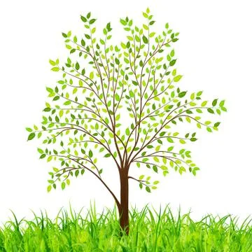Nature background with green tree and grass Stock Illustration