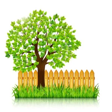 Nature background with green tree, grass and wooden fence vector Stock Illustration
