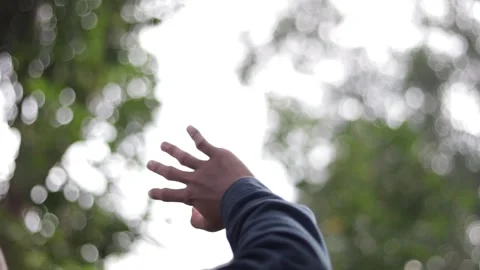 Nature background with the hand Stock Footage 242698134