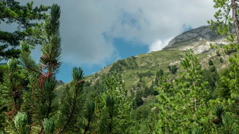 Nature Background Hyperlapse in Pirin Mountains in Bulgaria Video stock 220295721