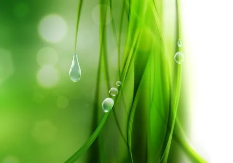 Nature background Stock Illustration