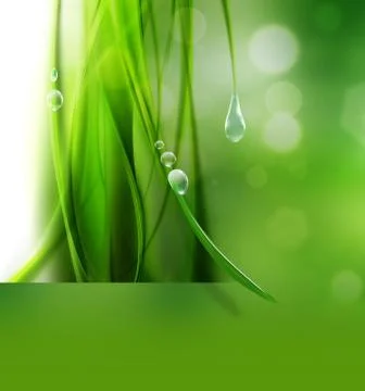 Nature background Stock Illustration