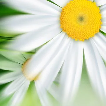 Nature background Stock Illustration