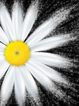 Nature background Stock Illustration