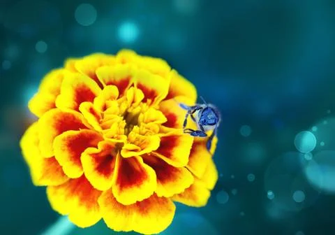 Nature background Stock Illustration