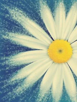 Nature background Stock Illustration