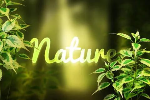 Nature Background Stock Illustration
