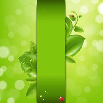 Nature background with ladybug and leafs Stock Illustration