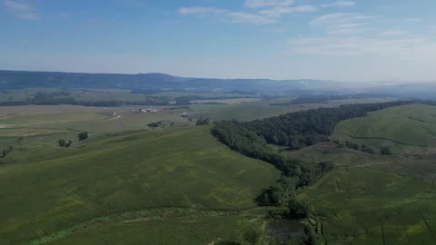 Nature background landscape . lush tree on the grassy meadow in morning light. Stock Footage 255864049