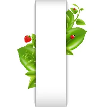 Nature background with leaf and ladybug Stock Illustration