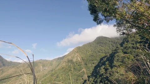 Nature background with mountain valley covered of green rainforest at sunny day. Stock Footage 118414876