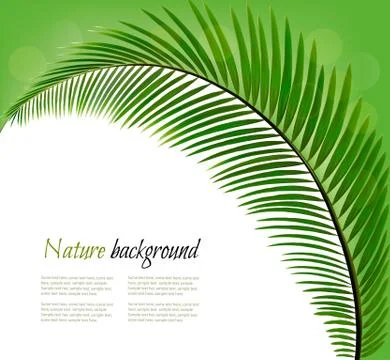 Nature background with a palm leaf. Vector Stock Illustration