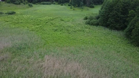 Nature background. Panoramic landscape. Stock Footage 201246330