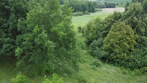 Nature background. Panoramic landscape. Stock Footage 201246449