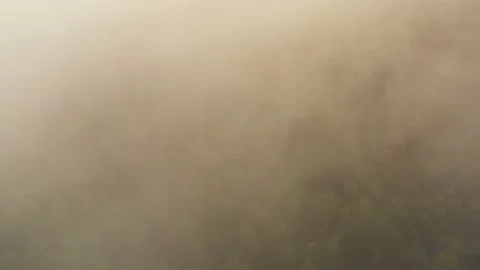 Nature background pattern. Aerial top view, flying over summer green trees Video stock 153931113