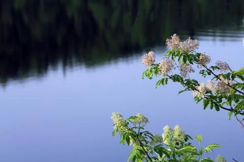 Nature background Stock Photos