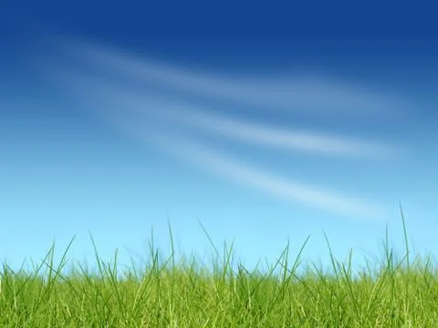 Nature background. Stock Photos