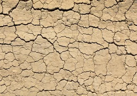 Nature background Фото