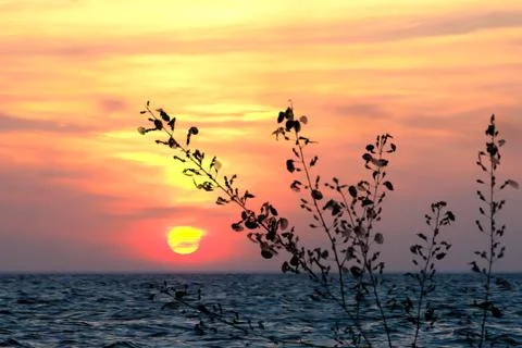 Nature background Stock Photos