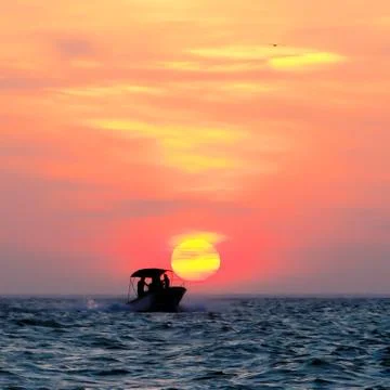 Nature Background Stock Photos