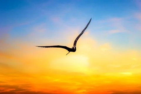 Nature background Stock Photos