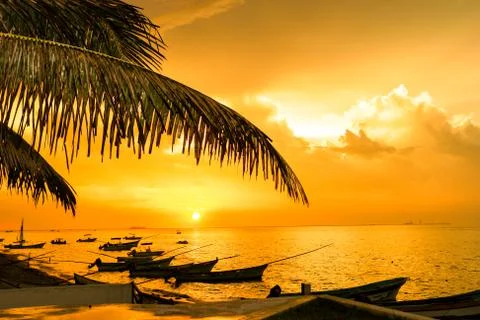 Nature background Stock Photos