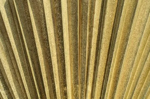 Nature background Stock Photos