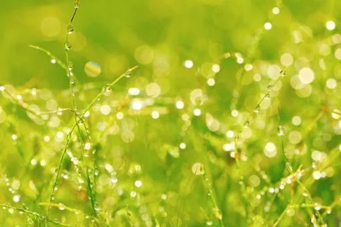 Nature background Stock Photos