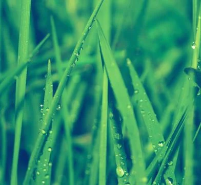 Nature background Stock Photos