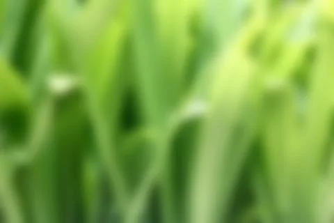 Nature background 스톡 사진